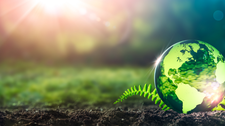 PFAS Free Swim Parkas.  PFAS free waterproofing in swim parkas.  Do swim parkas contain PFAS?